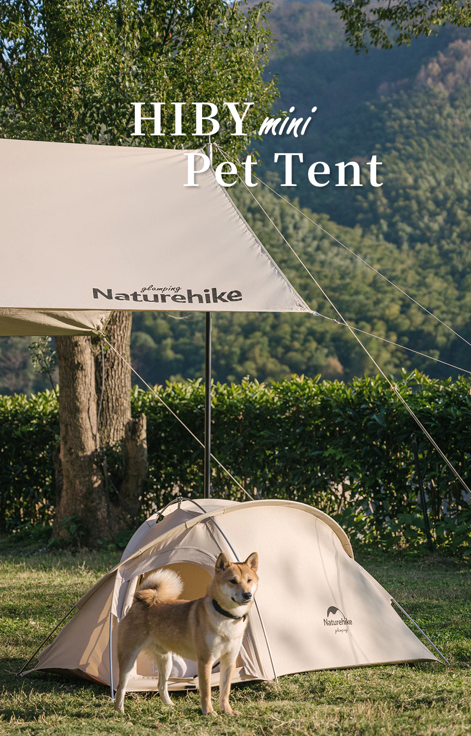Cheap Goat Tents 